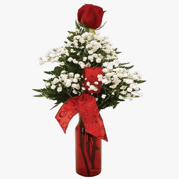 Single Red rose