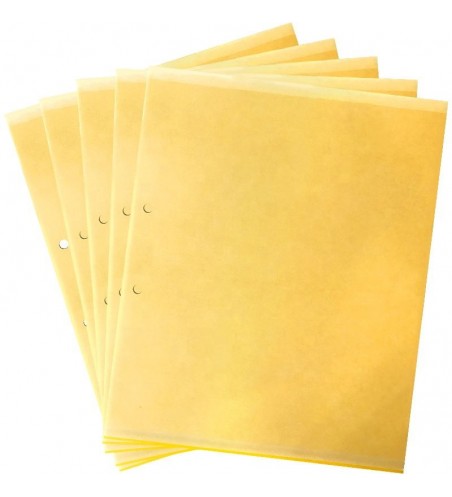 YELLOW FLYING INSECT GLUE TRAP WITH LANYARD