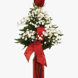 Red Rose