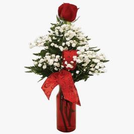Single Red rose