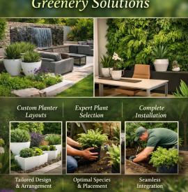 Green Space Design & Indoor Plant Styling